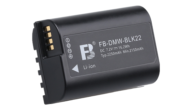 DMW-BLK222250mAh-844.jpg